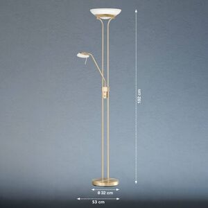 FISCHER & HONSEL LED stojací lampa Pool, mosazná barva, výška 182 cm, 2 světla.