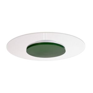 Deko-Light LED stropní světlo Zaniah, 360° světlo, 24W zelená