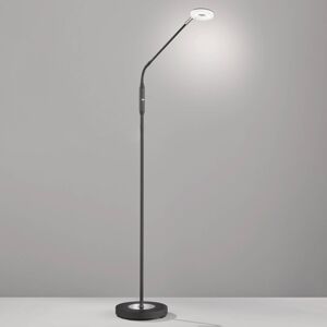 FISCHER & HONSEL LED stojací lampa Dent stmívací CCT, 1 zdroj černá